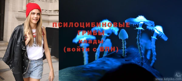 соль курить ск Медвежьегорск