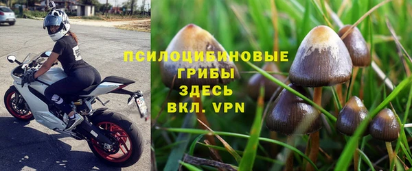 трава Михайловск