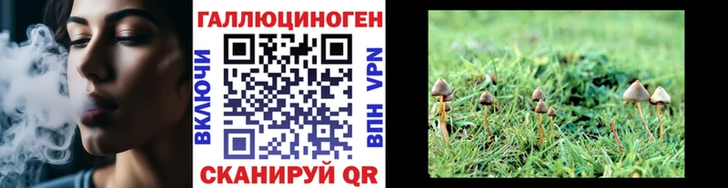 Купить где Ангарск Галлюциногенные грибы GOLDEN TEACHER